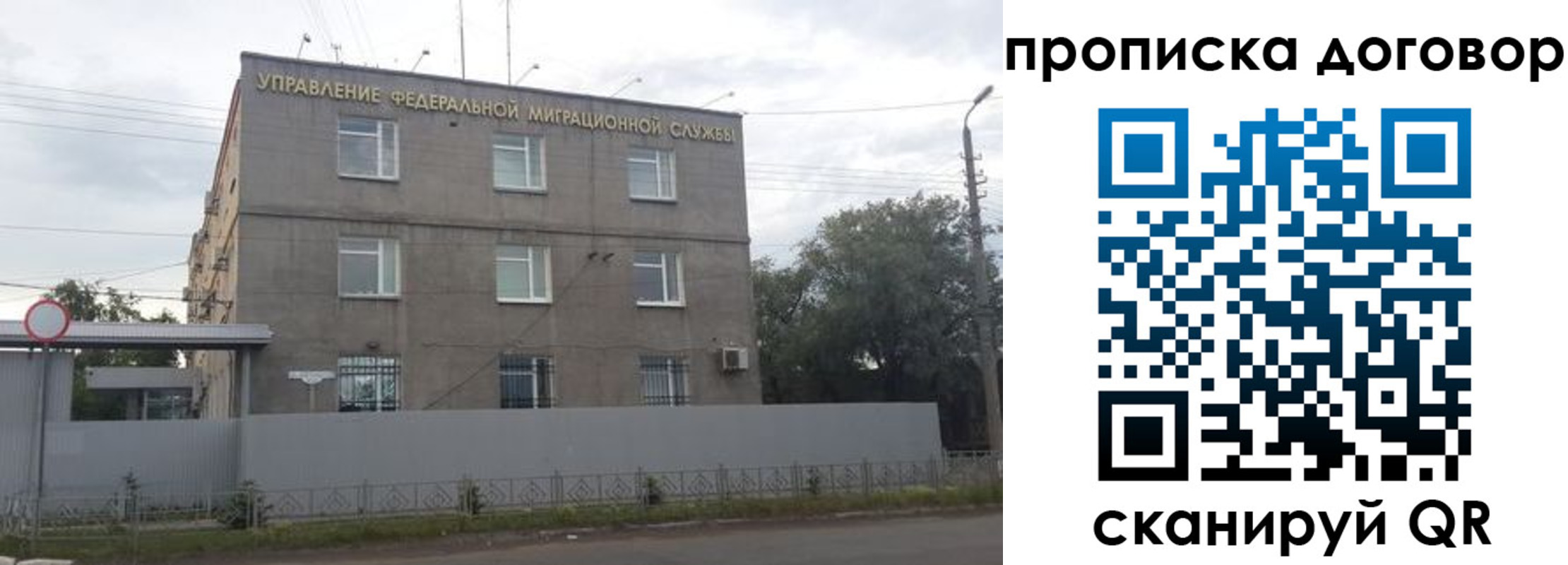 временная регистрация надежно в Димитровграде